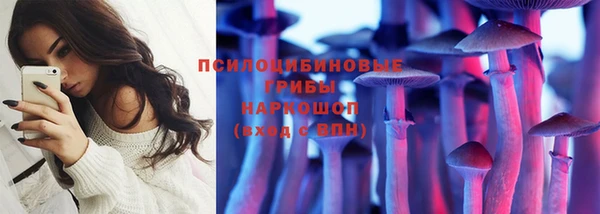 герыч Арсеньев